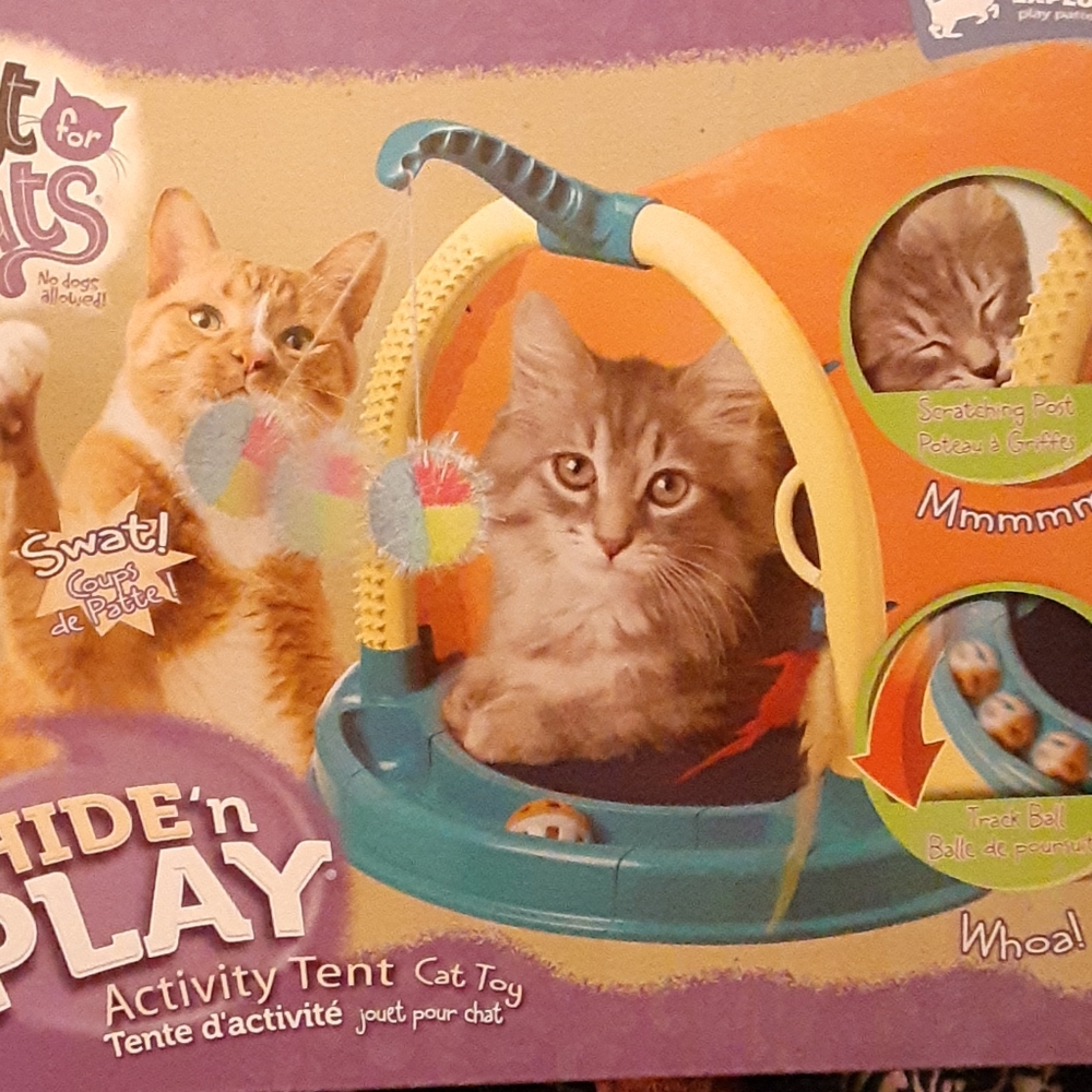 Cat toy